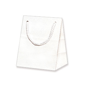 紙袋 プレゼント用 光沢 手提げ HEIKO シモジマ ブライトバッグ T-5 白（ホワイト）（10枚入） ラッピング