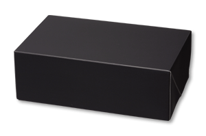 箱 HEIKO シモジマ コンボックス SFタイプ SF-10(10枚入)