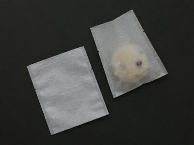 【少量販売】規格袋 A-3 和紙