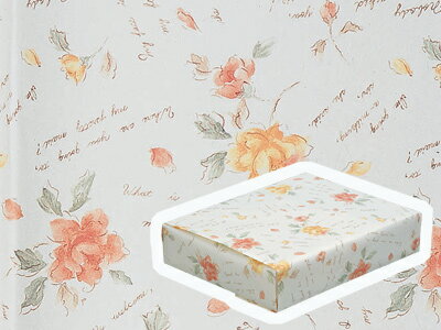  桡ե ݥåȡȾͿ åԥ åԥ  եȥåԥ ץ쥼 £ʪ   襤 ̳