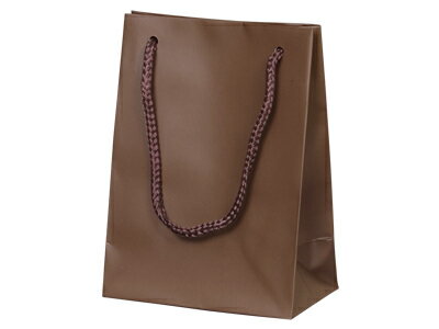 【少量販売】ブライトバッグ チョコブラウンT-3