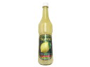 ビアリッツ・レモンプロフェッショナル 700ml
