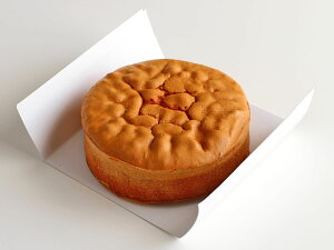 冷凍 スポンジケーキ 5号