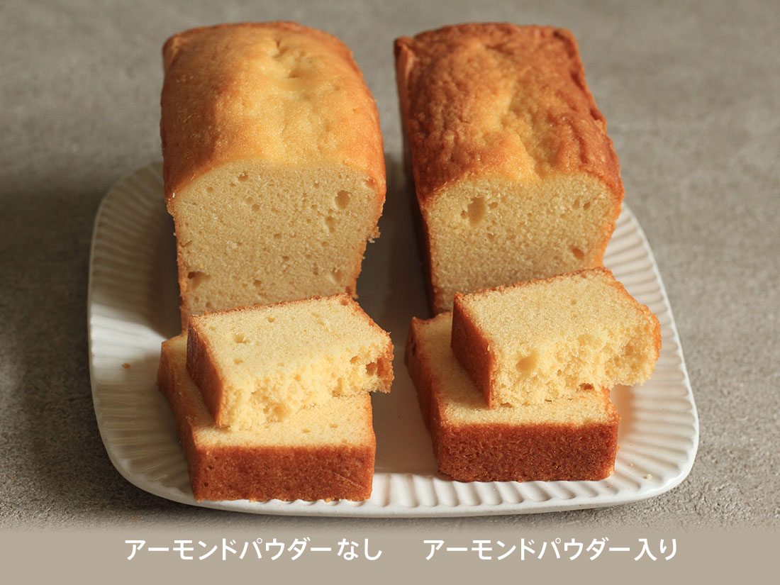 cotta ���������ɥѥ����� 500g �������� �������ɥѥ����� ʴ�� �ѥ����� �ʥå� ���� �Ʋۻ� ���ѥ� ���� ���ۻҺ�� ����