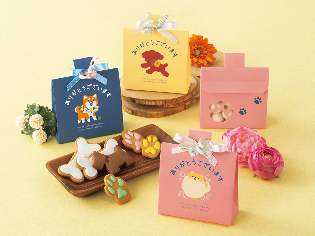 ���ե�Ȣ ����� �ȥ��ס��ɥ롡10��