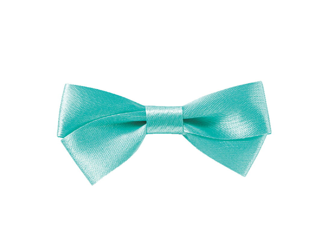 リボンシール W ループ ブルー(50枚入)