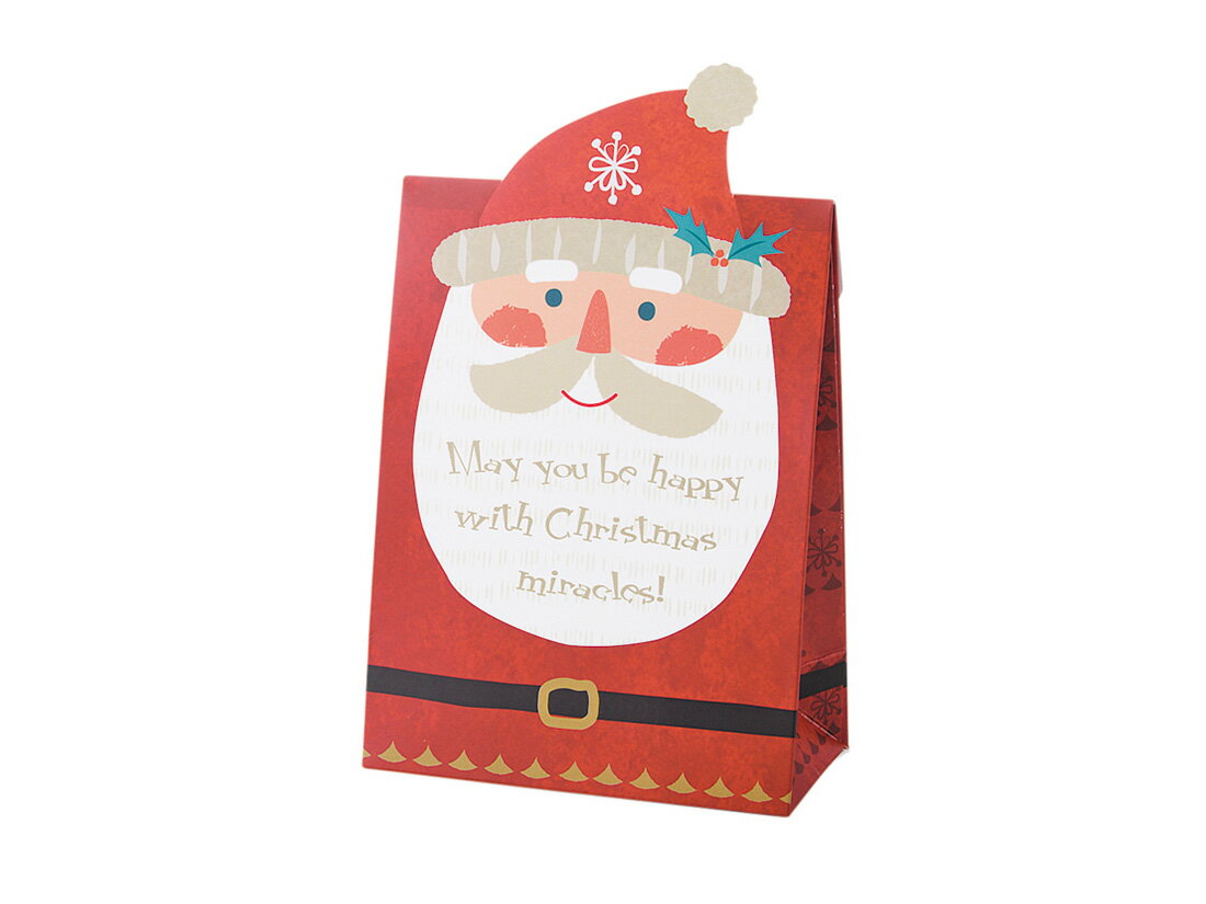 ギフト箱 ウィンターサンタペーパーボックス 10枚