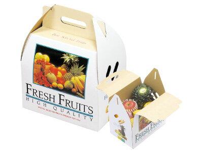 こちらの商品は60枚単位での販売となります。［規格］内寸175×260×235 Eフルートフルーツコーディネートも自由自在、様々な果物の詰合せにご利用下さい。