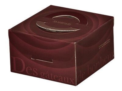 ھۥǥȢ ӥ4ʥȥ졼ʤ