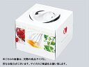 【少量販売】キャリーデコ フレッシュ 6 (トレーなし)
