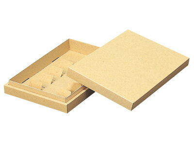 【少量販売】エースカートン(46エース) 2416-（4.6）