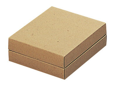 【少量販売】PNカートン BTK(クラフト) 1515