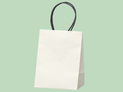 プチバッグ 白無地 9-6