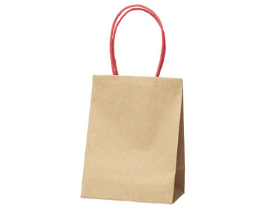 【少量販売】プチバッグ 未晒無地 9-6(3.0)