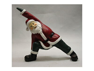 【5日限定！全品ポイント3倍】16994 ヨガサンタJのサムネイル