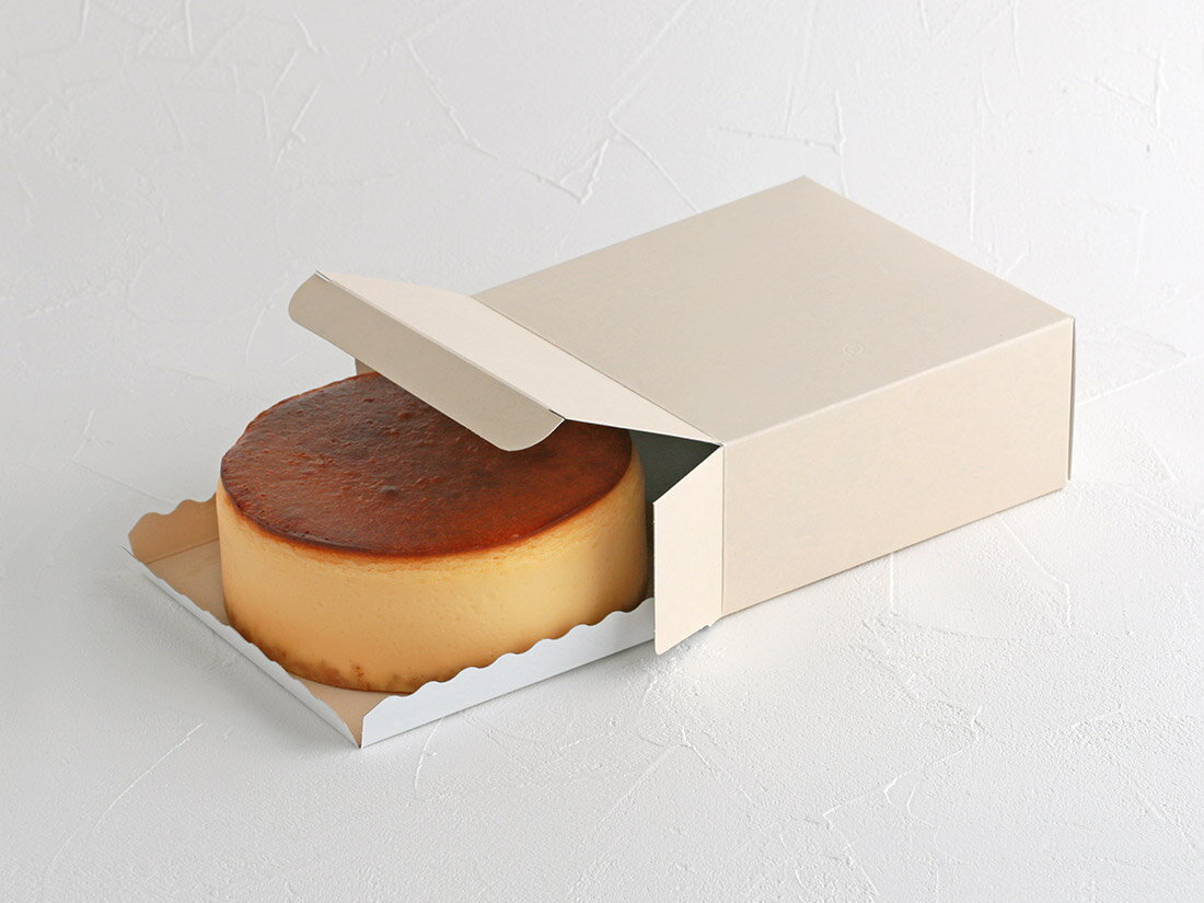 ★★単品購入で送料無料★★無地エコスクエア トレー付 5号(トレー付)