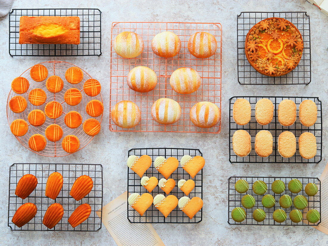 cotta �����������顼 �������� �֥���