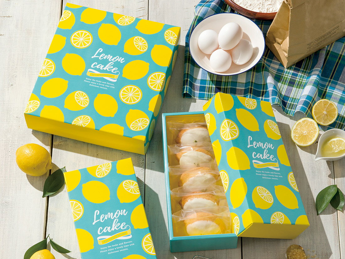 【少量販売】　ギフト箱 ブルーシトロン 大　1枚入