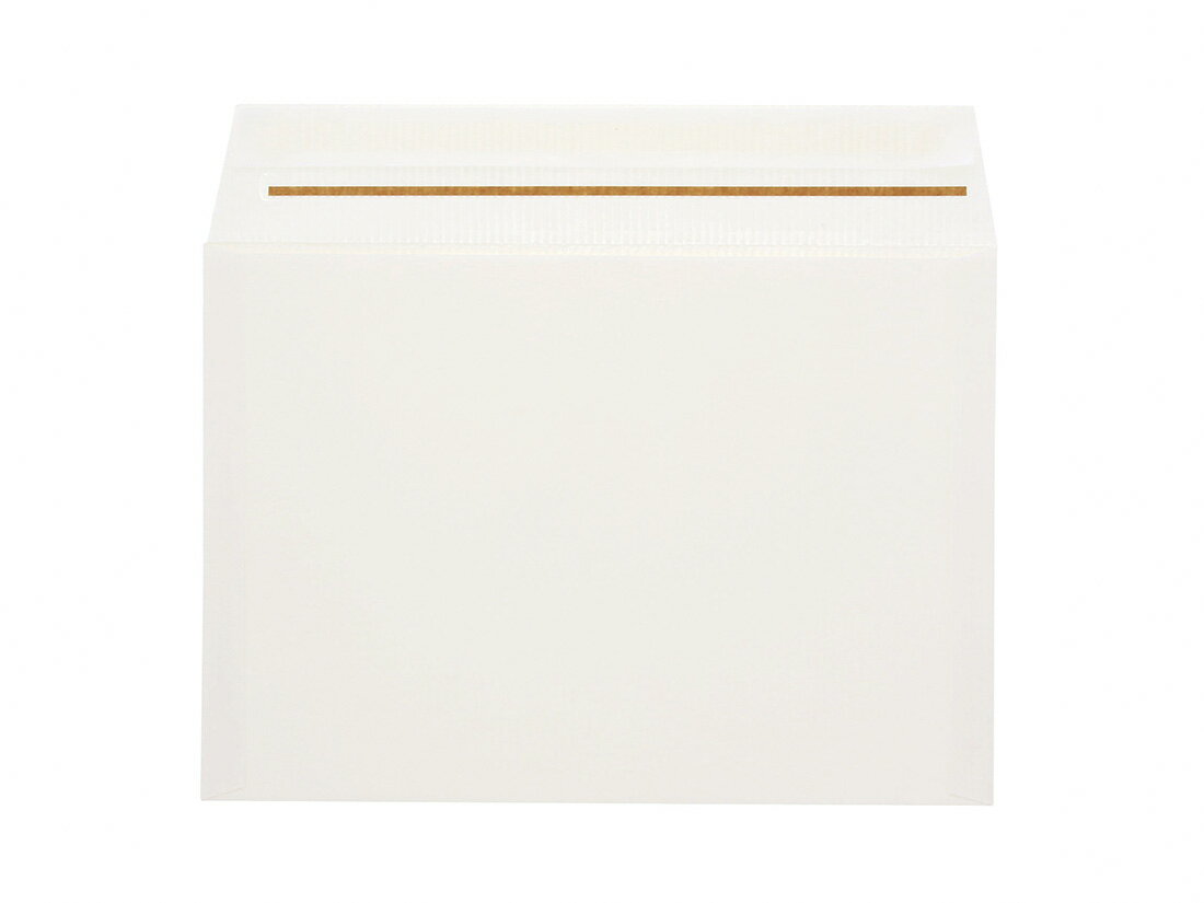 段ボール封筒 L 白 10枚