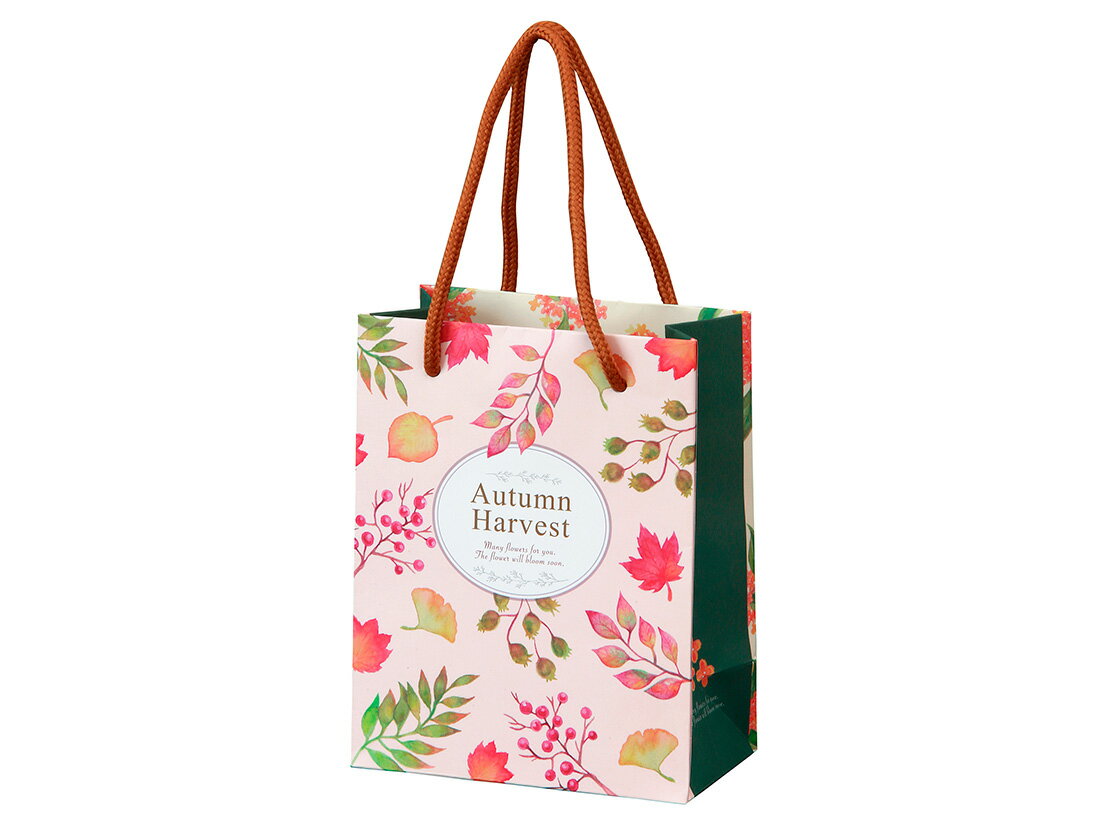 手提げ紙袋 オトンヌフルール 10枚