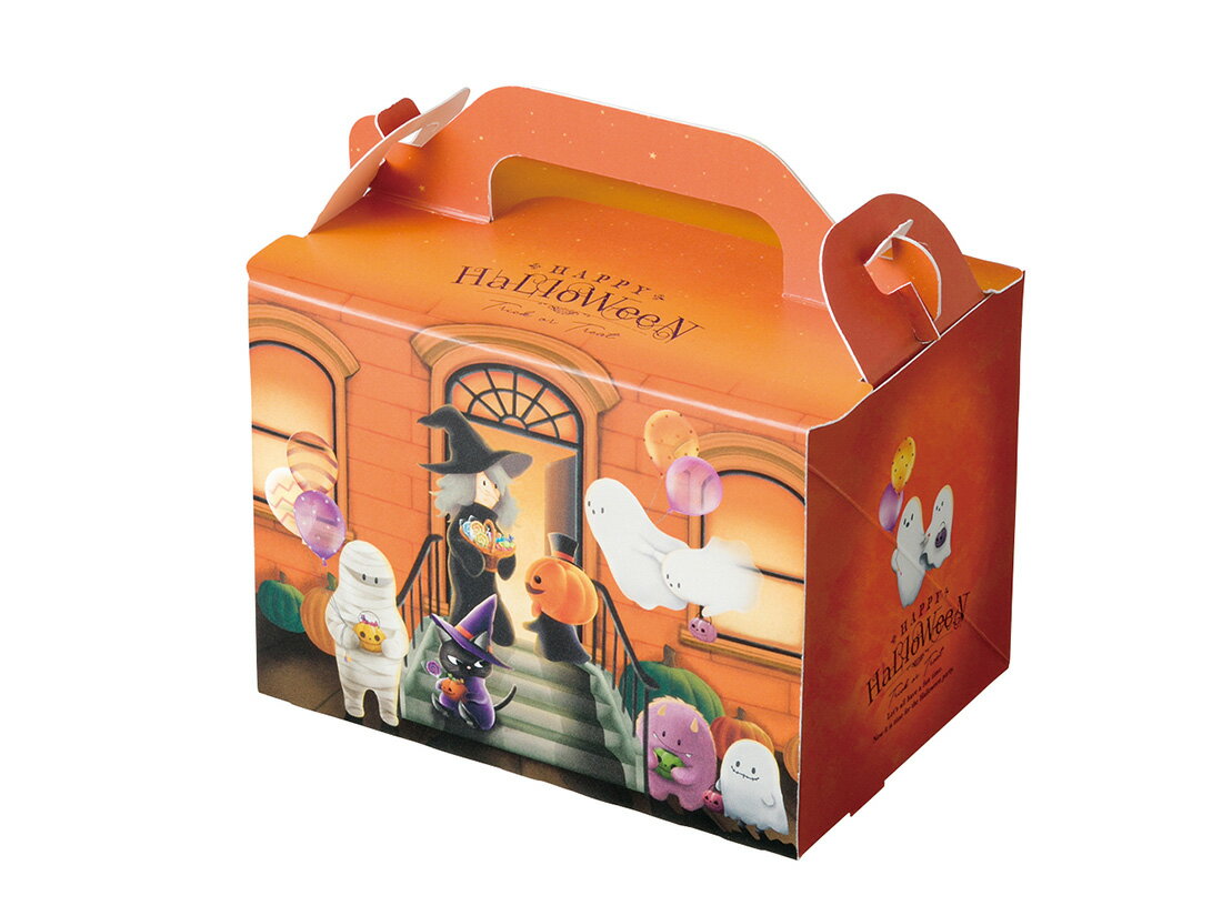 ケーキ箱 ハロパレナイト(トレーなし) 5枚