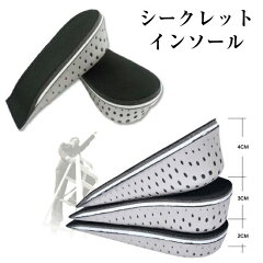 https://thumbnail.image.rakuten.co.jp/@0_mall/wsg-a/cabinet/insole/imgrc0070074730.jpg