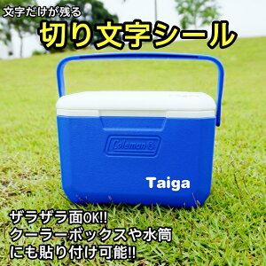 【ザラザラ面にも貼れる】名前シール 防水 ステッカー クーラーボックス・水筒にも オリジナルシール カッティングシール 1行通販格安セール情報 楽天 通販