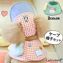【メール便送料無料】犬 帽子 ケープ セット うさぎ刺繍 チェック柄 簡単着脱 洋服が苦手な子も◎ ペット用帽子 PARISDOG パリスドッグ WSISTERS【バディケープ帽子セット】