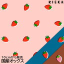 国産オックス Sprinkle（Strawberry）Retro