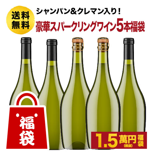 SALE「福袋」シャンパン&クレマン入り！豪華スパークリングワイン5本福袋 送料無料 スパークリングワインセット 【ワインセット】【ワイン ギフト】のサムネイル