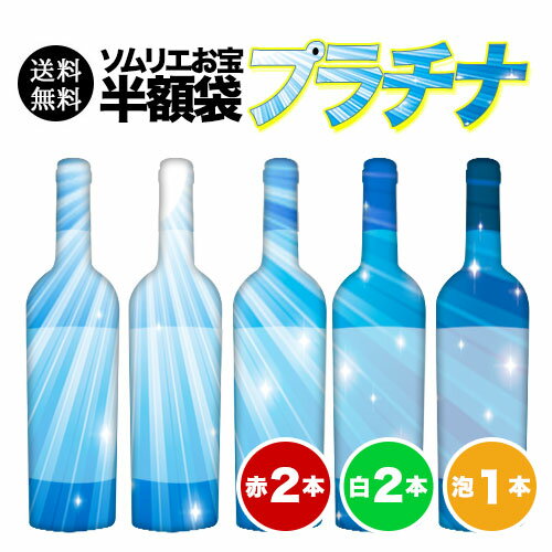 ワインセット 送料無料 ソムリエお宝半額袋・プラチナ（赤ワイン2本、白ワイン2本、スパークリングワイン1本）【ワイン ギフト ソムリエ厳選】のサムネイル