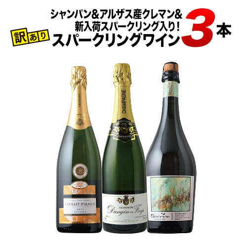 「19」シャンパン＆アルザス産クレマン&新入荷スパークリング入り！訳ありスパークリングワイン3本セット スパークリングワインセット【12本単位のご購入で送料無料】【12本単位で送料無料】【ワインセット】【ワイン ギフト】【キャンプ BBQ 敬老の日】【s2409】のサムネイル