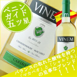 ポイント15倍＆SALE！ヴィネム・ブランコ ヴィネルジア 2018年 スペイン アラゴン 白ワイン 中辛口 750ml 【12本単位のご購入で送料無料】【ギフト ワイン】【ソムリエ】