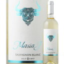 マジア・J・ソーヴィニョン・ブラン アルケミー・ワインズ 2020年 スペイン カスティーリャ・ラ・マンチャ 白ワイン 辛口 750ml