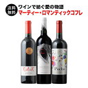 雄大なアンデスを舞台にワインで紡ぐ愛の物語 マーティー・ロマンティックコフレ 送料無料 赤ワイン3本セット 赤ワインセット【ワイン ギフト ソムリエ厳選】