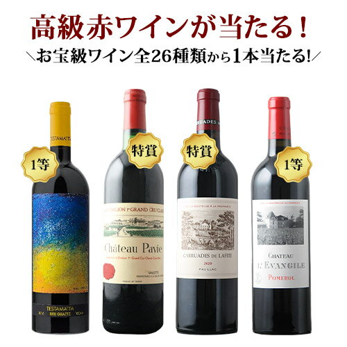 日本一挑戦ワインくじ（赤ワイン）【合計12本で送料無料】