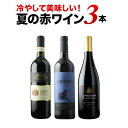 ワインセット 赤ワイン 冷やして美味しい赤ワイン3本セット【ワイン ギフト ソムリエ厳選】