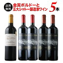 ワインセット 赤ワイン 送料無料 金賞ボルドーと五大シャトー醸造家の赤ワイン5本セット「7/22更新」【ワイン ギフト ソムリエ厳選】