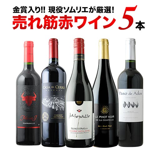 ワインセット 赤ワイン 金賞入り!現役ソムリエの売れ筋赤ワイン5本セット(第31弾)「11/1更新」【ワイン ギフト ソムリエ厳選】