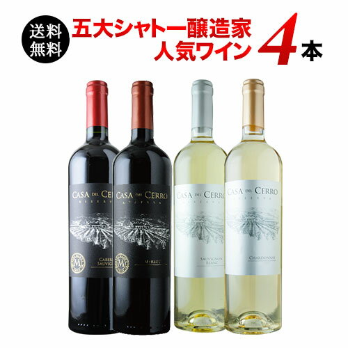 【送料無料】ワインセット 金賞ボルドーと五大シャトー醸造家ワイン5本セット（赤3本＆白2本）送料無料【ギフト・プレゼント対応可】【ギフト ワイン】【ソムリエ】【家飲み】【バレンタイン】【 ワインセット 赤白 】【 ワインショップソムリエ 】