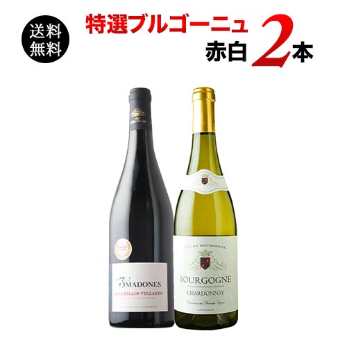 【送料無料】特選ブルゴーニュ赤白2本セット（赤ワイン1本・白ワイン1本） 送料無料 「1/23更新」【ワインセット】【ワイン ギフト】【父の日 お中元】