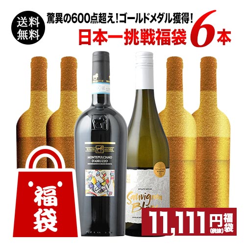 驚異の600点超え!ゴールドメダル獲得!満足度日本一に挑戦 日本一挑戦福袋(赤ワイン3本・白ワイン2本・スパークリングワイン1本) 送料無料