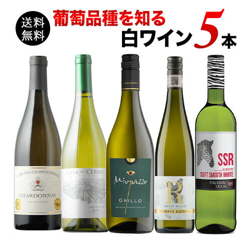葡萄（ぶどう）品種を知る白ワイン5本セット 白ワインセット 送料無料 「3/28更新」【ワインセット】【ワイン ギフト】【母の日】のサムネイル