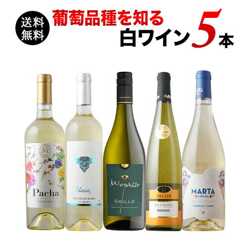 葡萄（ぶどう）品種を知る白ワイン5本セット 白ワインセット 送料無料 「5/16更新」【ワインセット】【ワイン ギフト】【父の日 お中元】