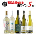 ワインセット 白ワイン 送料無料 葡萄(ぶどう)品種を知る白ワイン5本セット「3/6更新」【ワイン ギフト ソムリエ厳選】