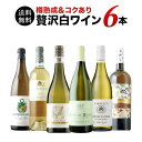 樽熟成＆コクあり白ワイン6本セット 送料無料 白ワインセット 「2/20更新」