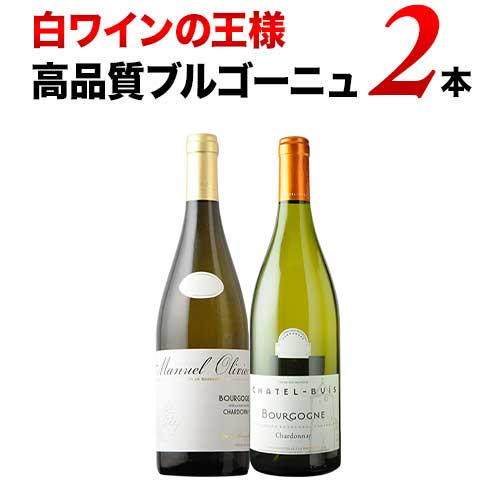 ワインセット 白ワイン 白ワインの王様!高品質ブルゴーニュ2本セット 「2/21更新」【ワイン ギフト ソムリエ厳選】