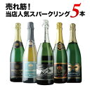 売れ筋！当店人気スパークリングワイン5本セット 第41弾 スパークリングワインセット「1/9更新」