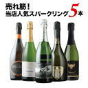 売れ筋！当店人気スパークリングワイン5本セット スパークリングワインセット「4/19更新」