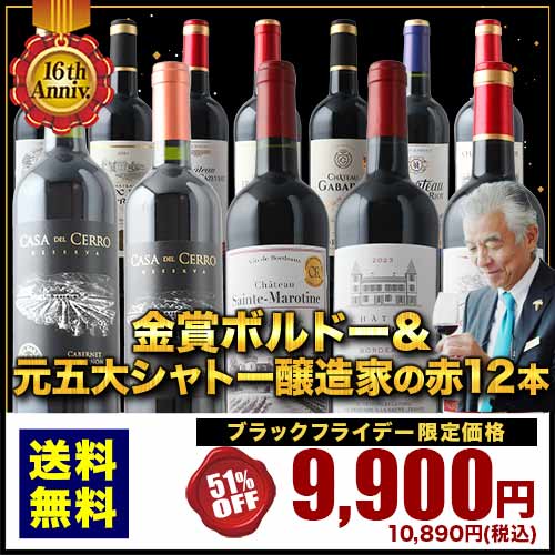ワインセット 赤ワイン 送料無料 16周年記念！金賞ボルドーと元五大シャトー醸造家の赤ワイン12本セット「11/14更新」【フランスワイン ボルドーワイン チリワイン フランス ボルドー チリ】【ワイン ギフト ソムリエ厳選】 2